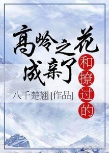 和撩过的高岭之花成亲了